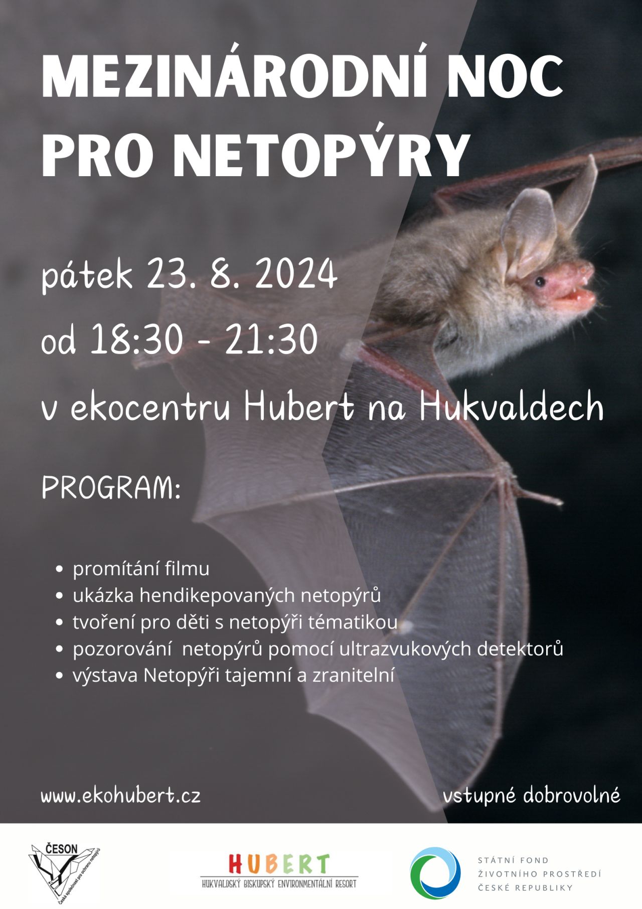 Mezinárodní_noc_pro_netopýry image Mezinárodní noc pro netopýry