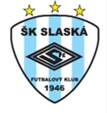 fotbal slaska